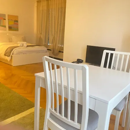 Bright & Fully Furnished Flat In Apartment Lausanne