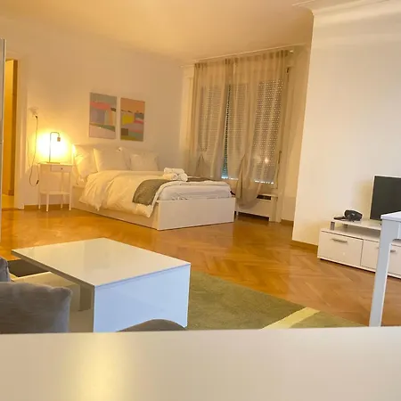 Bright & Fully Furnished Flat In Apartment Lausanne