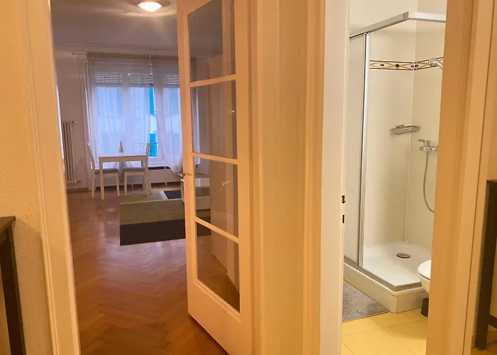 Bright & Fully Furnished Flat In * Lausanne