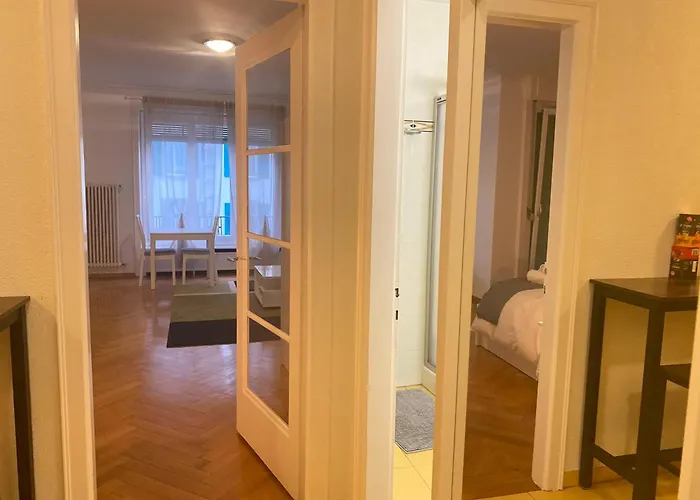 Apartment Bright & Fully Furnished Flat In Lausanne